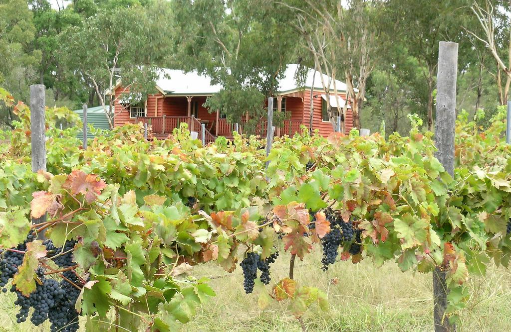 Fergies Hill Spa Cottage @ Granite Ridge Wines Ballandean Exterior foto